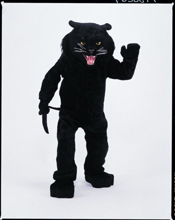 Panther Black Mascot Complete