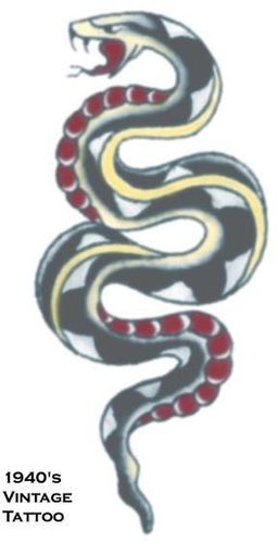 Tattoo Vintage Snake Case Pack 2