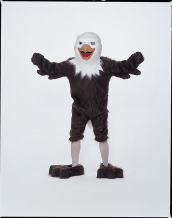 Eagle Mascot Complete