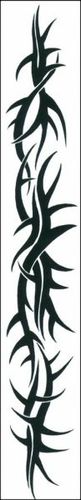 Tattoo Tribal Thorns Armband Case Pack 2