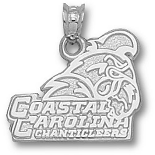 Clemson University Tigers Pendant - Sterling Silver