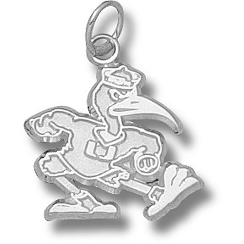 Univ. of Miami Hurricanes - New Fighting Ibis Pendant