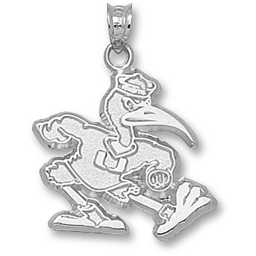 University of Miami Hurricanes Fighting Ibis Pendant