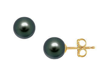 Akoya Cultured Pearl Stud Earrings  14K Yellow Gold  10 MM