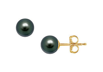Akoya Cultured Pearl Stud Earrings  14K Yellow Gold  8 MM