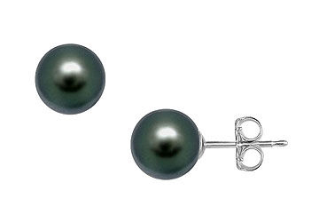 Tahitian Pearl Stud Earrings  18K White Gold  11 MM