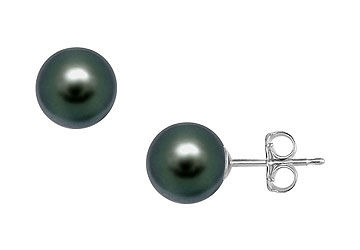 Tahitian Pearl Stud Earrings  18K White Gold  13 MM