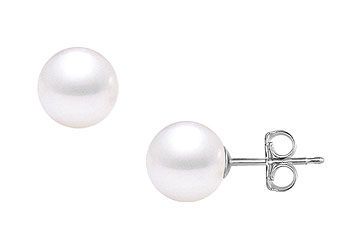 South Sea Pearl Stud Earrings  18K White Gold  12 MM