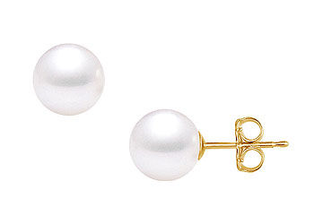 South Sea Pearl Stud Earrings  18K Yellow Gold  11 MM