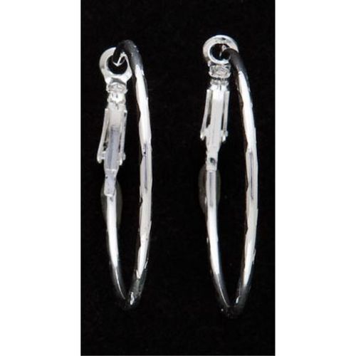 Hoop Earrings-Silver Plated Case Pack 12