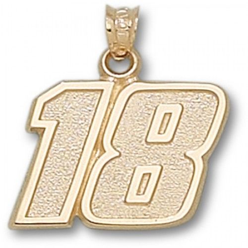 Driver Kyle Busch #18 Nascar Pendant -New- 5/8