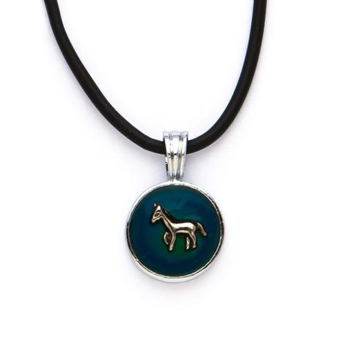 Mood Necklace with Horse Charm Case Pack 36