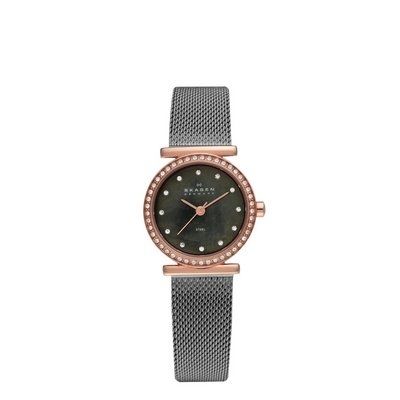 Skagen 108srm Steel Ladies Watch