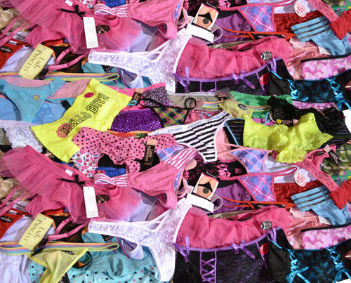 Womens Assorted Panties Case Pack 120