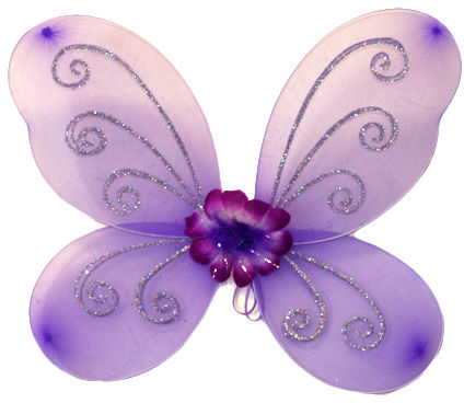 Butterfly Wings Case Pack 48