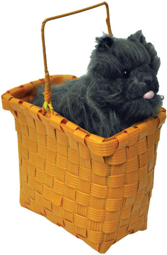 Toto In Basket