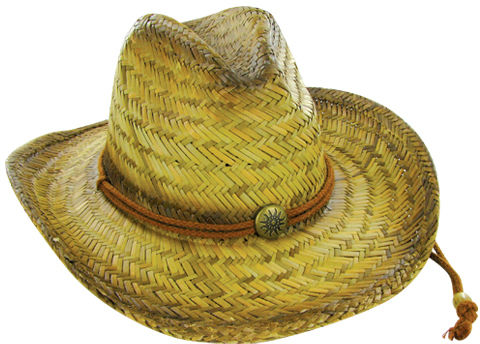 Cowboy Hat Brown Coated Hat Case Pack 24