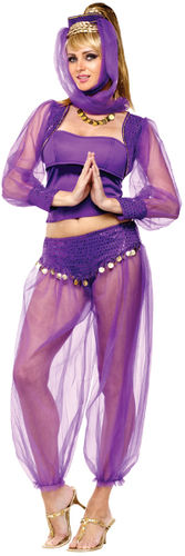 Women's Costume: Dreamy Genie- Small/Medium