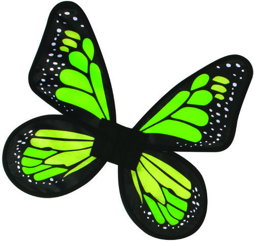 Wings Butterfly Satin Children Green
