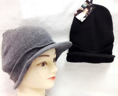Knit Ski Cap Winter Hats Assorted Colors Case Pack 24