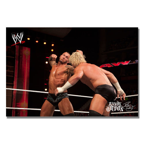 Offically Licensed WWE Randy Orton Canvas