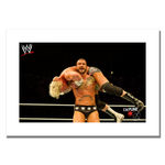Officially Licensed WWE CM Punk Print