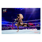 Offically Licensed WWE The Rock Canvas