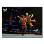 Officially Licensed WWE CM Punk Canvas