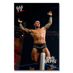 Officially Licensed WWE Randy Orton Canvas