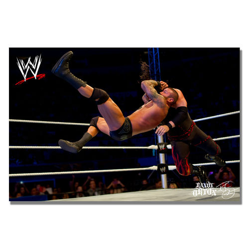 Offically Licensed WWE Randy Orton Canvas