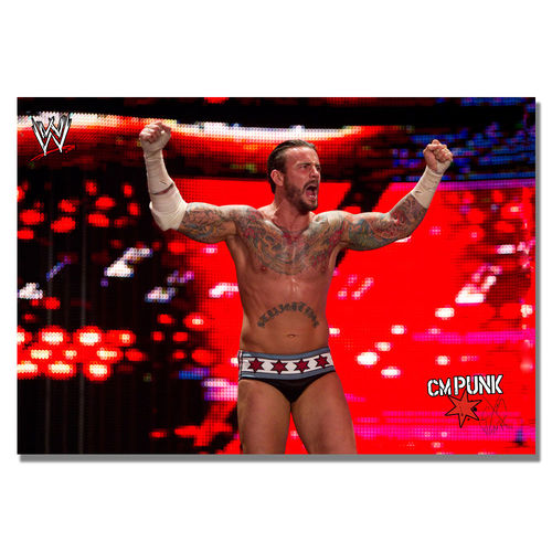 Offically Licensed WWE CM Punk Canvas