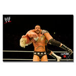 Offically Licensed WWE CM Punk Canvas