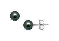 Akoya Cultured Pearl Stud Earrings : 14K White Gold  7 MM