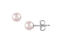 Akoya Cultured Pearl Stud Earrings : 14K White Gold  5 MM