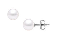 Akoya Cultured Pearl Stud Earrings : 14K White Gold  10 MM