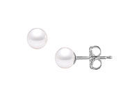 Akoya Cultured Pearl Stud Earrings : 14K White Gold  5 MM