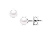 Akoya Cultured Pearl Stud Earrings : 14K White Gold  6 MM