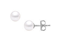 Akoya Cultured Pearl Stud Earrings : 14K White Gold  7 MM