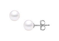 Akoya Cultured Pearl Stud Earrings : 14K White Gold  8 MM