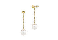 White Akoya Cultured Pearl Earrings : 14K Yellow Gold  7 MM