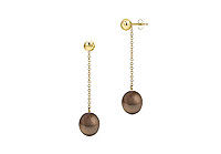 Chocolate Akoya Cultured Pearl Earrings : 14K Yellow Gold  7 MM