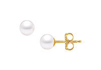 Freshwater Cultured Pearl Stud Earrings : 14K Yellow Gold  5 MM
