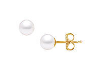 Freshwater Cultured Pearl Stud Earrings : 14K Yellow Gold  6 MM
