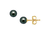 Freshwater Cultured Pearl Stud Earrings : 14K Yellow Gold  5 MM