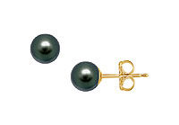 Freshwater Cultured Pearl Stud Earrings : 14K Yellow Gold  7 MM