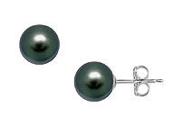 Tahitian Pearl Stud Earrings : 18K White Gold  12 MM