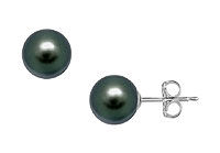 Tahitian Pearl Stud Earrings : 18K White Gold  13 MM