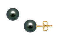 Tahitian Pearl Stud Earrings : 18K Yellow Gold  11 MM