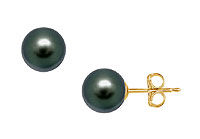 Tahitian Pearl Stud Earrings : 18K Yellow Gold  12 MM