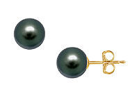 Tahitian Pearl Stud Earrings : 18K Yellow Gold  13 MM
